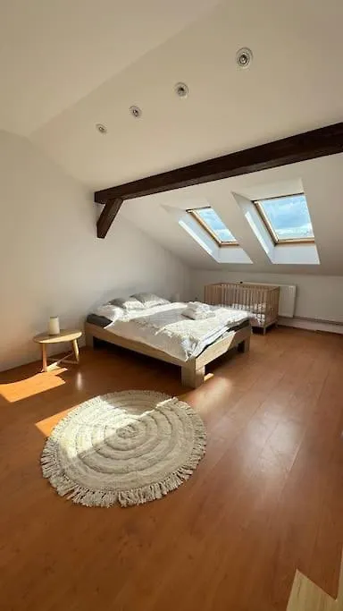 Kollarova Apartment Ostrava Tsjechië